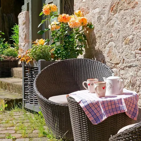 Remparts De - Le Petit Ours